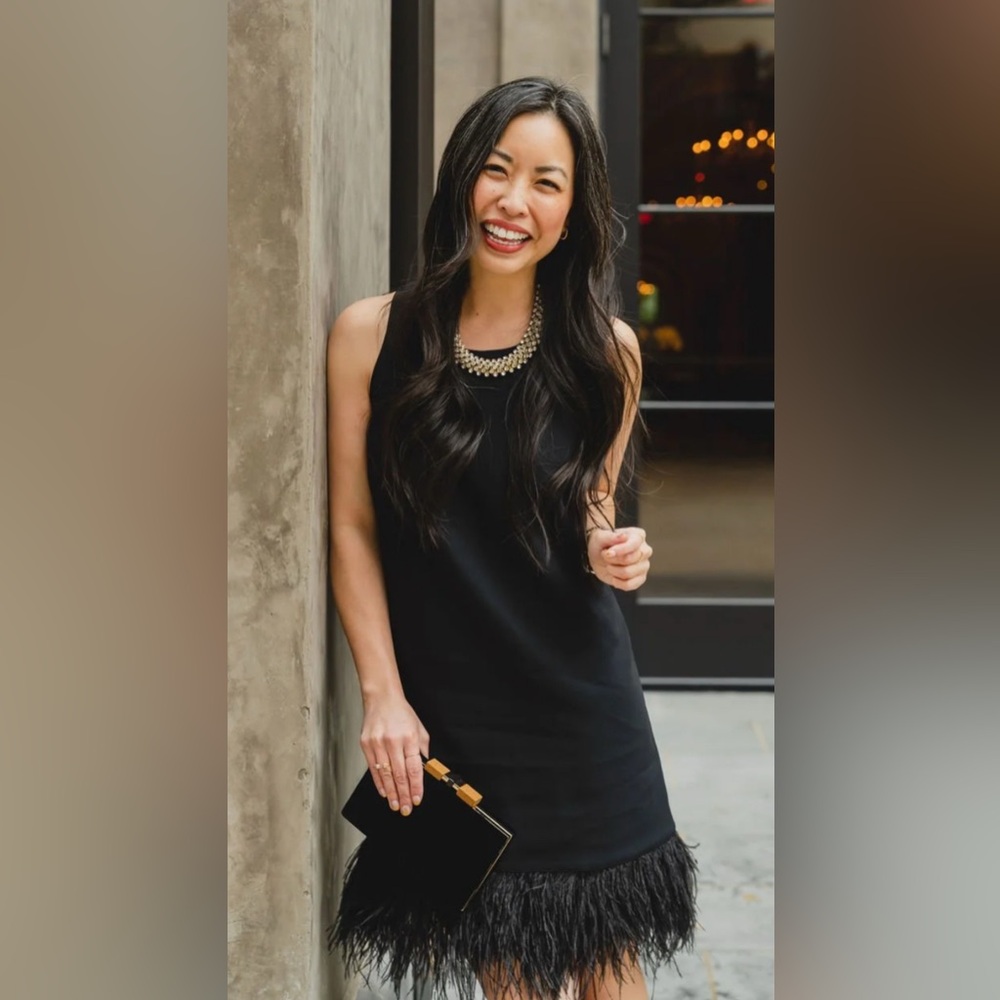 J Crew dress with feather trim. Parties. Halloween costume. Flapper.